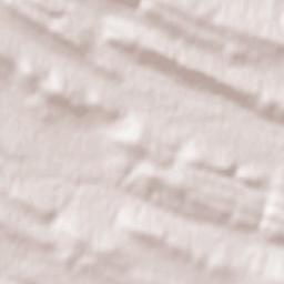 Olmillos de Castro Terrain Map