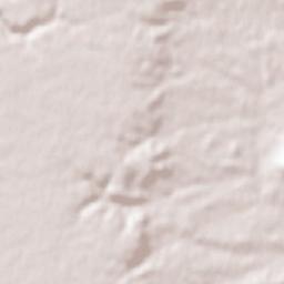 Villaescusa de Roa Terrain Map