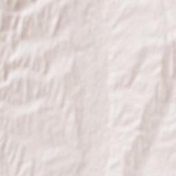 Leninskoye Terrain Map