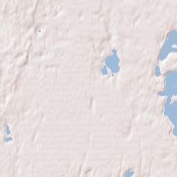 Forestdale Terrain Map