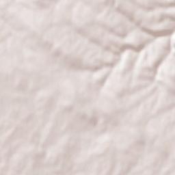 Samir de los Caños Terrain Map