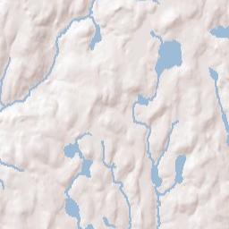 Tylertown New York Terrain Map