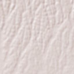 Cisterna di Latina Terrain Map