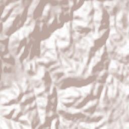 Obshtina Dospat Terrain Map