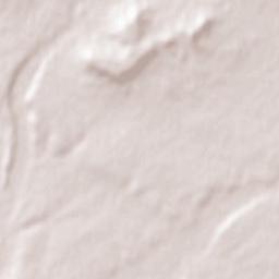 Pedrosa del Rey Terrain Map