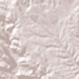 Bijuesca Terrain Map