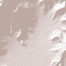 Crnilište Terrain Map