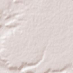 San Miguel del Arroyo Terrain Map