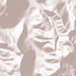 Castro dei Volsci Terrain Map