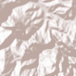 Bashkia Klos Terrain Map