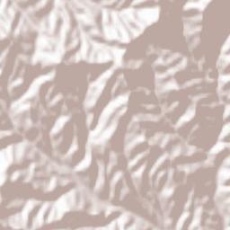 Obshtina Nedelino Terrain Map