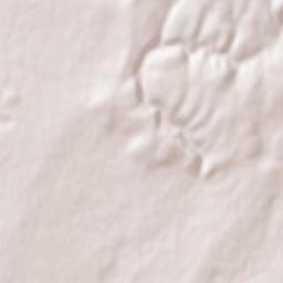 Saray Terrain Map