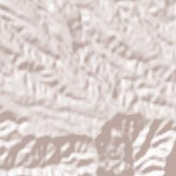 Juncosa Terrain Map
