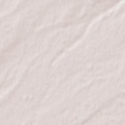 Nueva Villa de las Torres Terrain Map