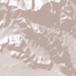 Formicola Terrain Map
