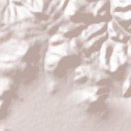 Metsavan Terrain Map