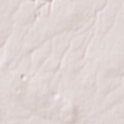 Ruvo di Puglia Terrain Map