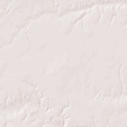 110-198 5th St Stromsburg NE 68666 Terrain Map