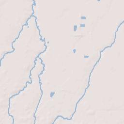 401-497 West Mazon Avenue, Dwight, IL Terrain Map