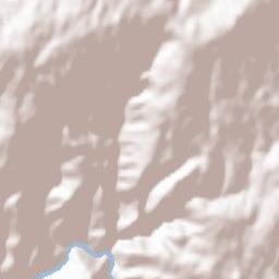Castro Daire Terrain Map