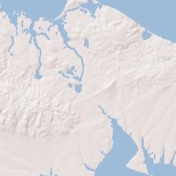 West Tiana New York Terrain Map