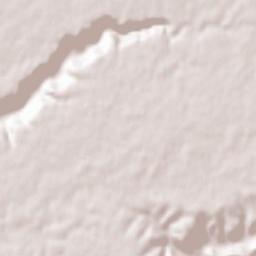 Alaminos Terrain Map