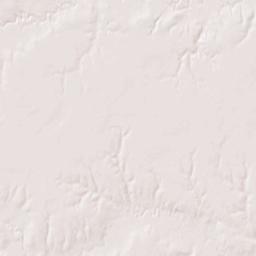 Lincoln Street, Bradshaw, NE 68319, USA Terrain Map