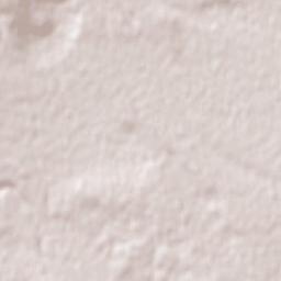 Arpaçay Terrain Map