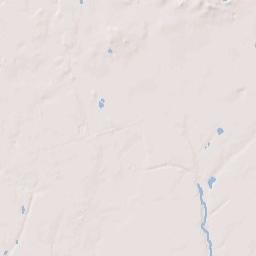 Williston Park New York Terrain Map