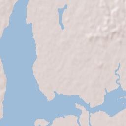 Murtosa Terrain Map
