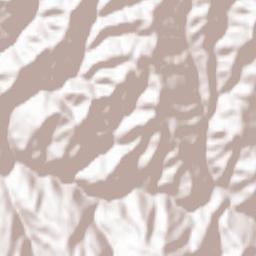 Bashkia Maliq Terrain Map