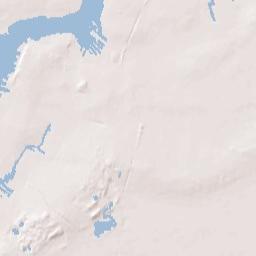 61 Palmetto St, Brooklyn, NY 11221, USA936-946 Hart St, Brook Terrain Map