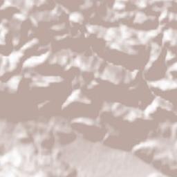 San Gregorio Magno Terrain Map