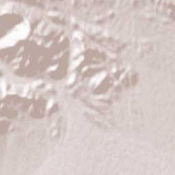 Shaydon Terrain Map
