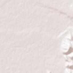 Hirakawa Terrain Map