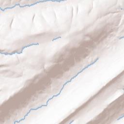 Williamstown Terrain Map