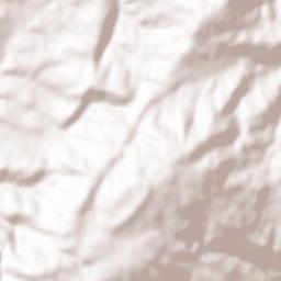 Salgueirais Terrain Map