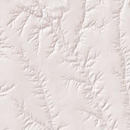 Hayes County Terrain Map