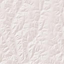 State Highway W, Mercer, MO 64661, USA Terrain Map