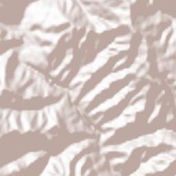 Çorovodë Terrain Map