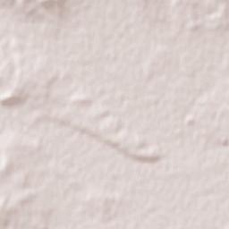 Selim Terrain Map