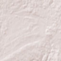 Cantanhede Terrain Map