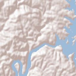 Oliveira do Mondego Terrain Map