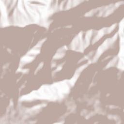 Casillas Terrain Map