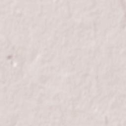 Carpignano Salentino Terrain Map