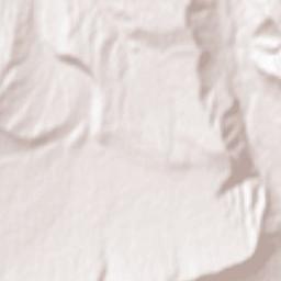 Neftobod Terrain Map