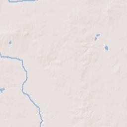 501 South Race Street, Urbana, IL 61801 Terrain Map