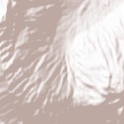 Bashkia Dropull Terrain Map