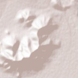 Pasinler Terrain Map
