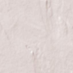 Acquarica del Capo Terrain Map